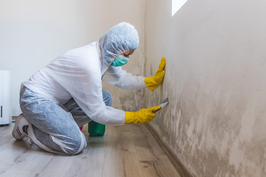 A woman cleaning mold from wall using spray bottle with mold remediation chemicals, mold removal products.